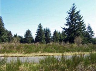 19520 Grand Mound Way SW, Rochester, WA 98579