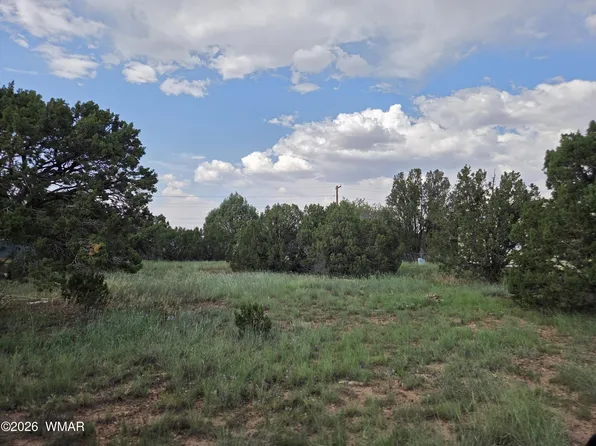 8442 Cochise Cir, Show Low, AZ 85901