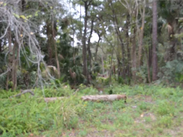 0 Hester Ave Lot 1140, Sanford, FL 32773