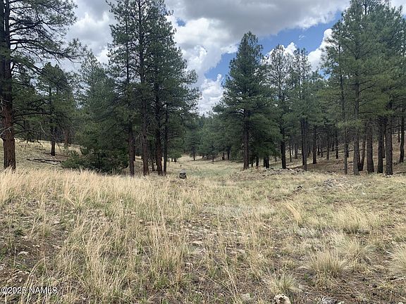 2nd image of 2980 S Solitaires Canyon Dr #349