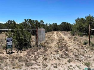 13 Turkey Canyon Rd, Carlsbad, NM 88220