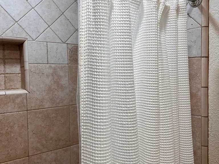 Master bath shower