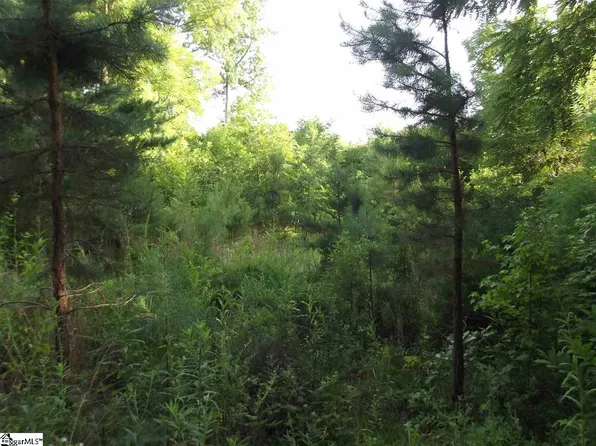 120 Chastain Dr, Pelzer, SC 29669