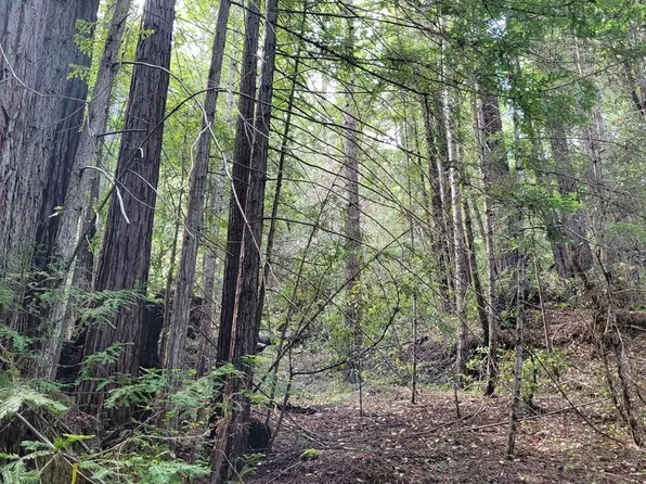 0 Lot Group 2 Tyrone Road, Camp Meeker, CA 95419