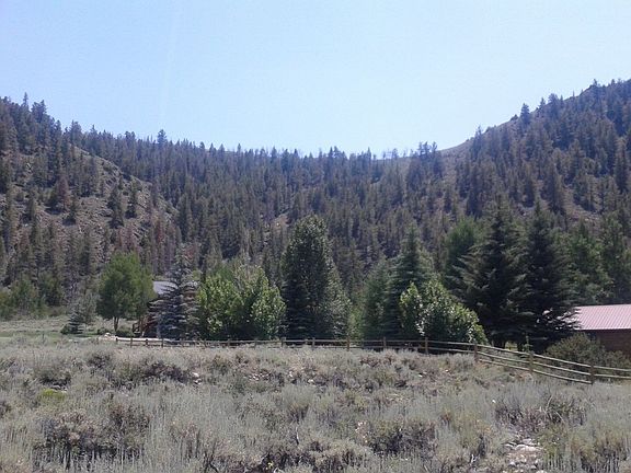 view toward south on the lot