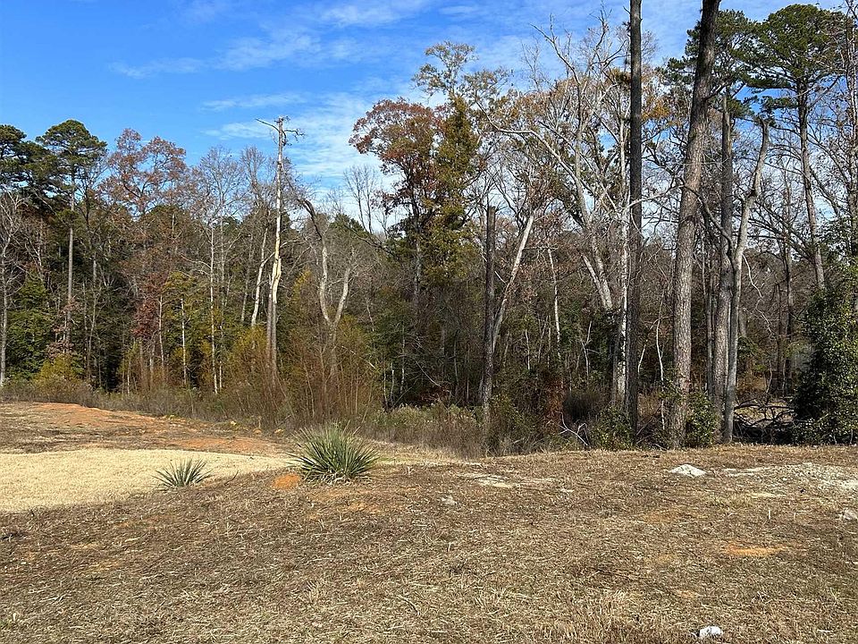 2nd image of 1007 Windy Ridge Dr