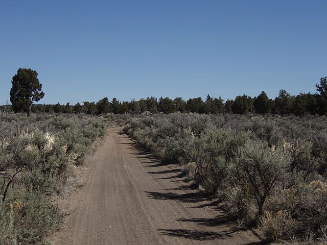 1st image of Christmas Valley Hwy