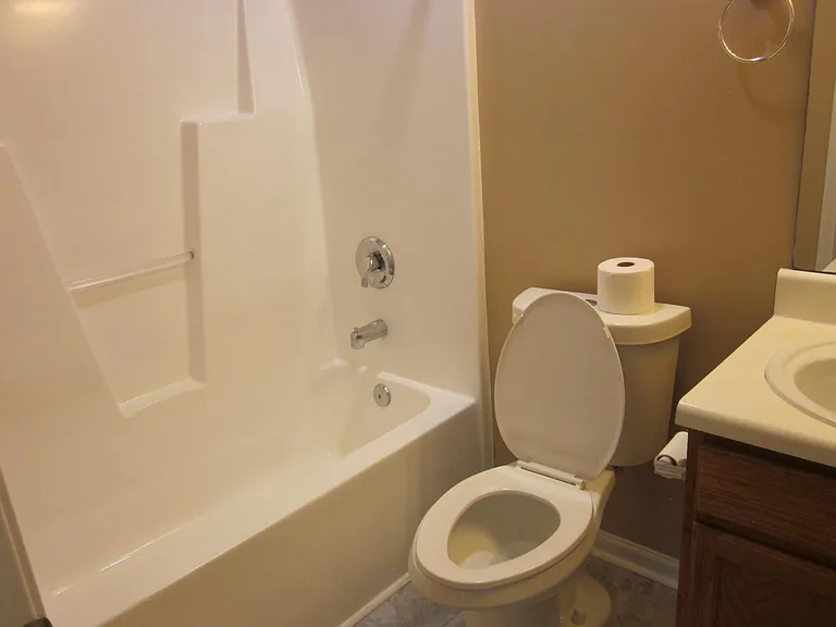 Hallway Bathroom