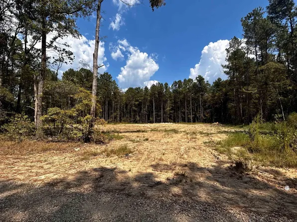 115 Burkette Ln, Denham Springs, LA 70706