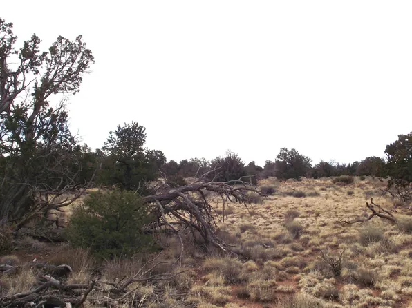 4516 Parker Dr, Williams, AZ 86046