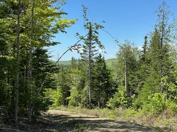 LOT 10 Mount Jefferson Hts, Lee, ME 04455