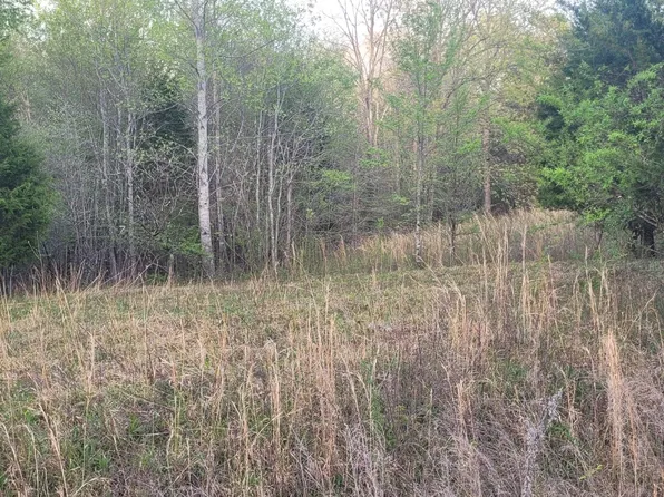 0 Piper Rd Lot 65-66, Bon Aqua, TN 37025
