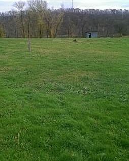 Part of back yard