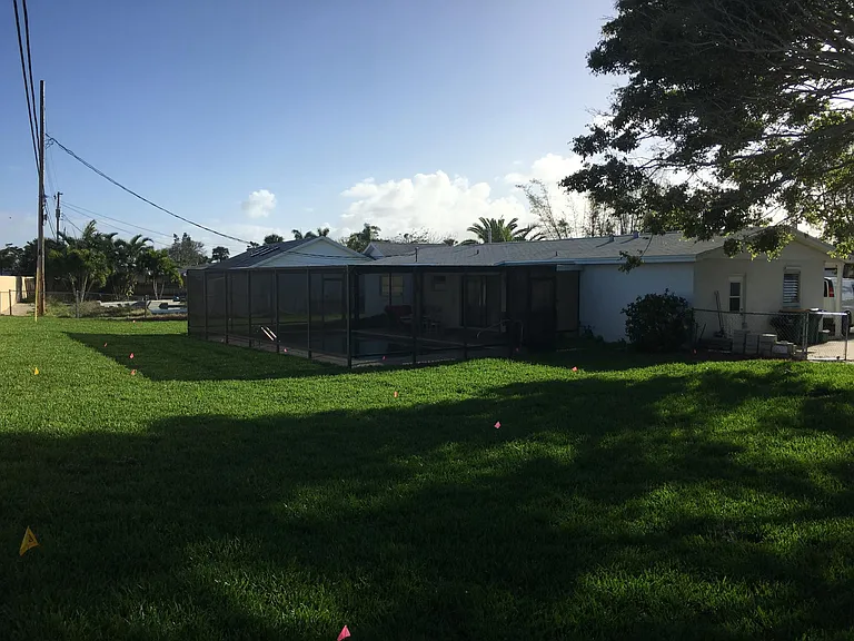 New Sod in yard