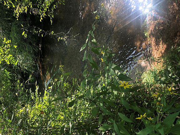 5th image of 9 Riverside Ln