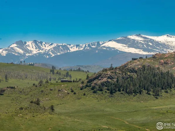 1350 Horse Mountain Dr, Livermore, CO 80536