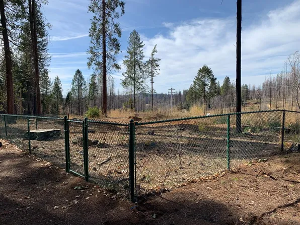 7634 Forest Glen Dr, Grizzly Flats, CA 95636