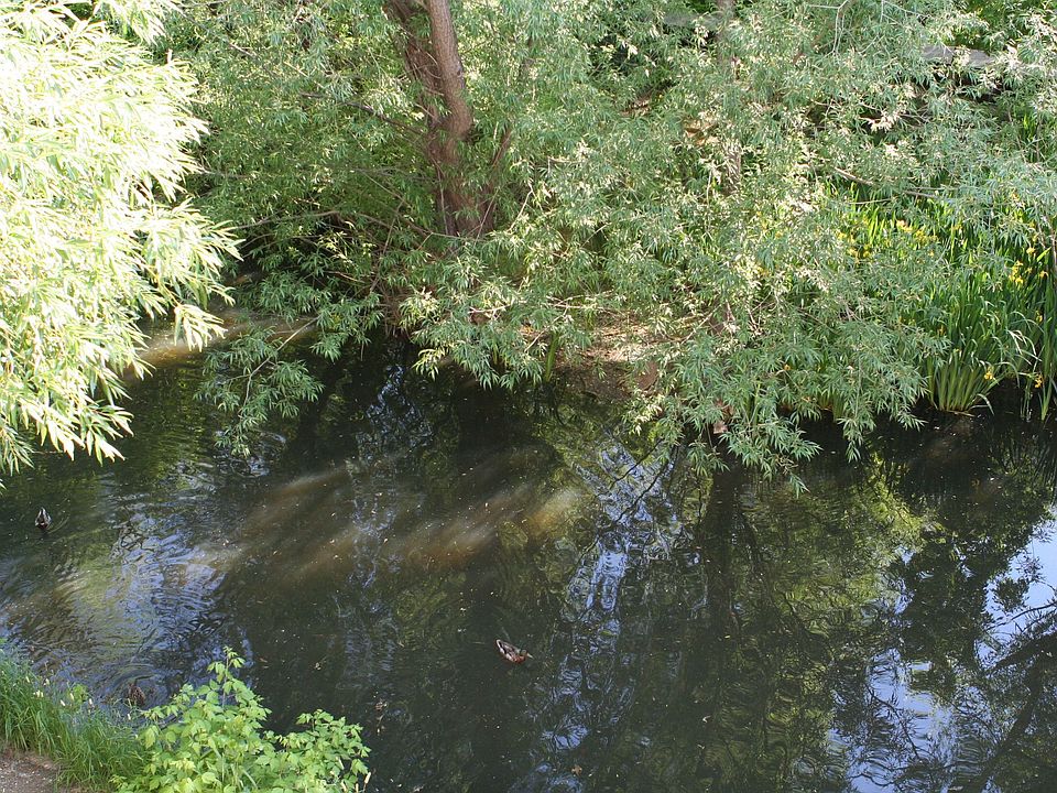 View from window