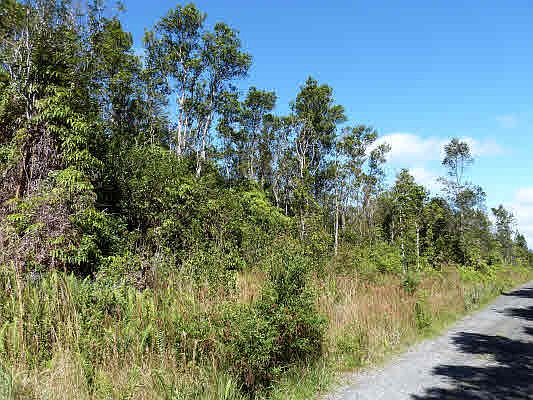 2nd image of Kaleponi Rd Lot 65