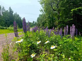 Lot 7 Snowshoe Tr, Tofte, MN 55615