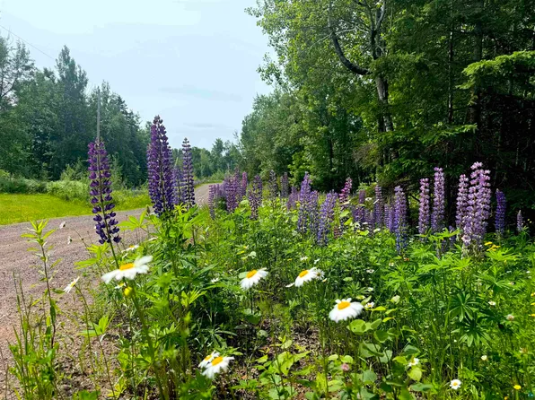 Lot 7 Snowshoe Tr, Tofte, MN 55615