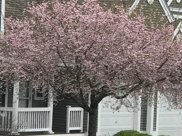 7 Jackson Ct, Uxbridge, MA 01569