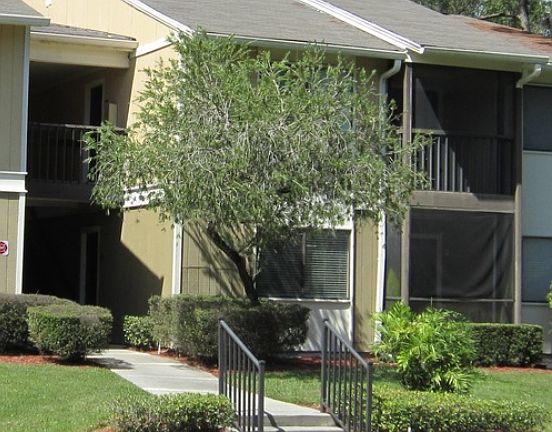 2nd image of 13288 Arbor Pointe Cir APT 204