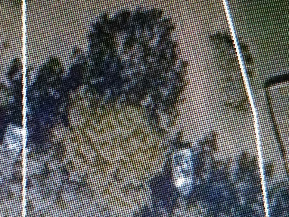 1st image of 5408 Homeward Dr