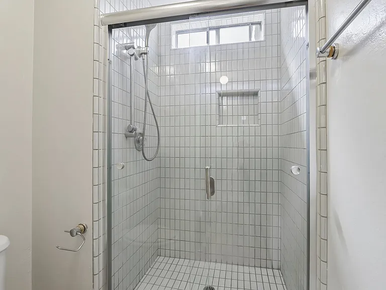 Master bathroom shower