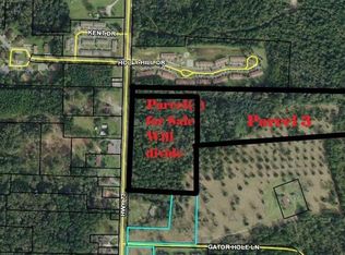 4520 Gator Hole Ln #PARCEL, Marianna, FL 32448