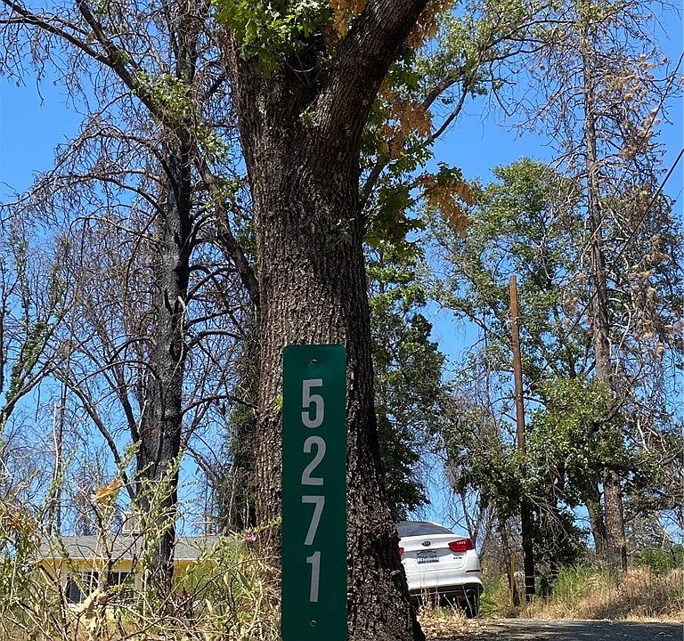 1st image of 5271 Black Olive Dr