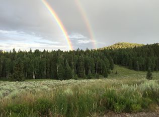 119 Cochetopa Trl, Powderhorn, CO 81243