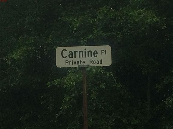 5th image of 548 Carnine Pl