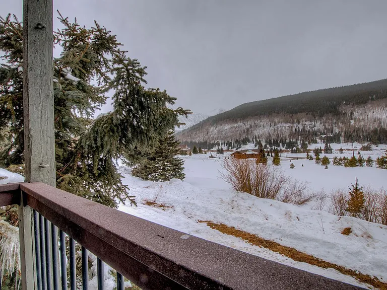 107 Peaks View Ct #323 — Photo 16