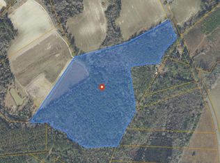 Red Bluff Rd, Loris, SC 29569