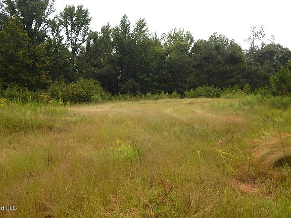 3rd image of 3442 Phelps Rd