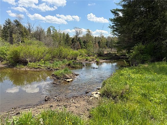 3rd image of LOT 1 County Road 16 Lot 41