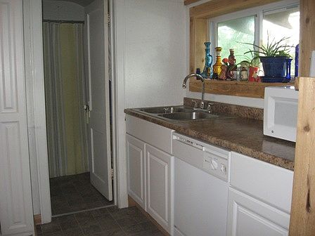 Dishwashwer and Sink