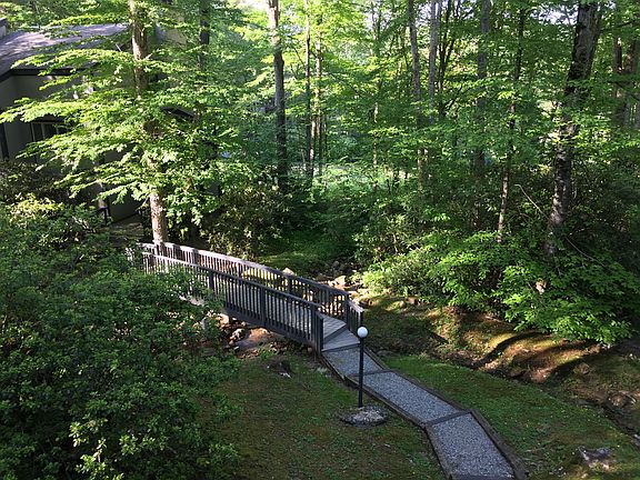 Summer view from deck