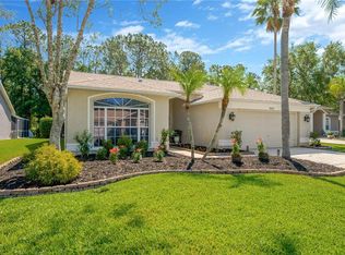 1623 Bayhill Dr, Oldsmar, FL 34677