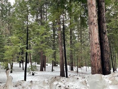 3065 Apache Rd, Arnold, CA, 95223
