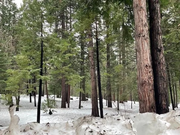 3065 Apache Rd, Arnold, CA 95223