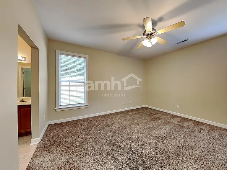 16 Greenbranch Way — Photo 9