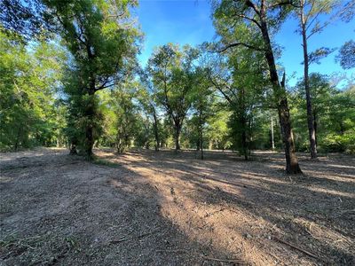 NE 126th St #B, Bronson, FL, 32621