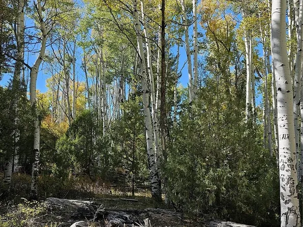 259 Mill Run Road, Mosca, CO 81146