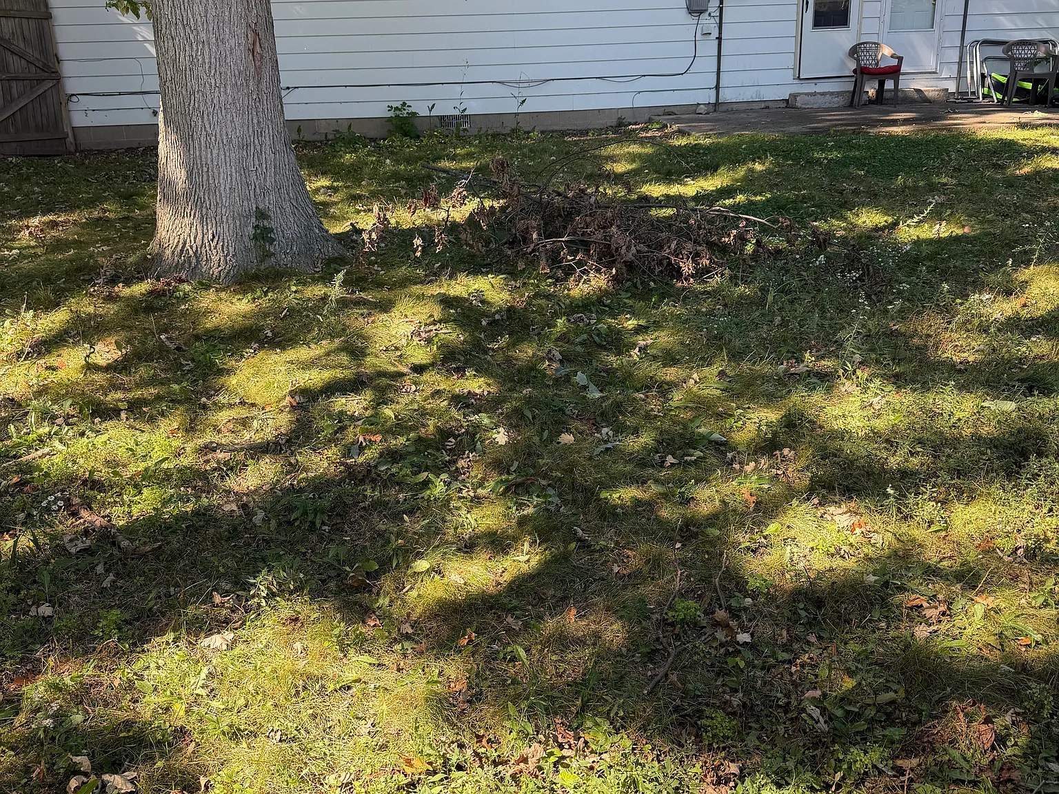 2 bed, 800 sqft, $1,100 — Photo 2