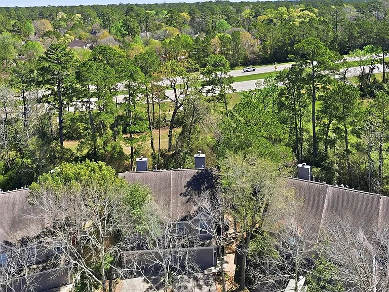 151 Anise Tree Pl — Photo 27