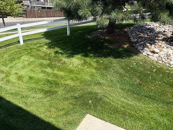 Backyard 1