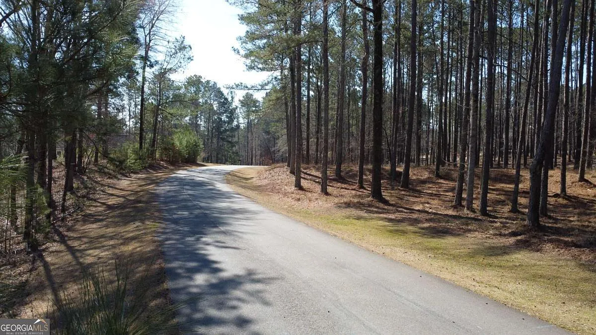 1041 Shadow Creek Way photo 1