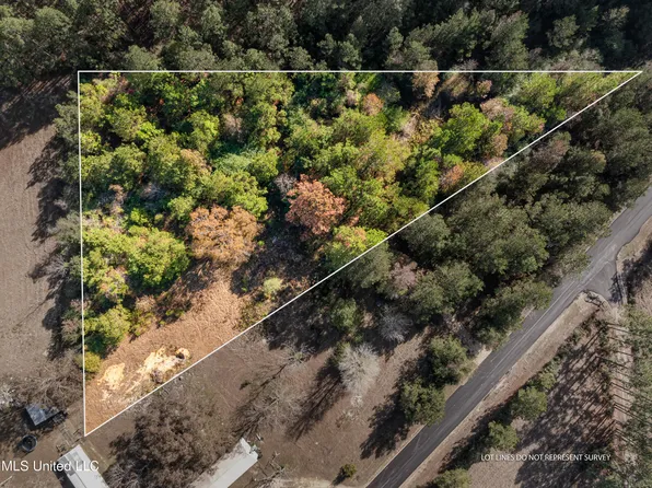 0 Beach Rd, Purvis, MS 39475